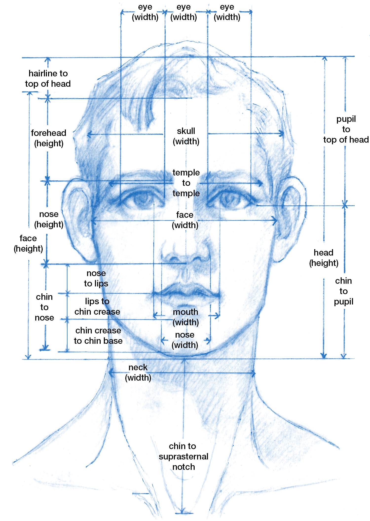 What Head Size Is Normal at Harold Levy blog